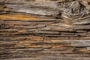 Fototapets - Wooden texture hinta ja tiedot | Valokuvatapetit | hobbyhall.fi