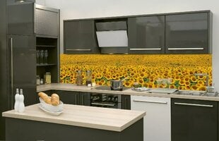 Liimavalokuvatapetti laminoidulla - Sunflowers, 260x60 cm hinta ja tiedot | Valokuvatapetit | hobbyhall.fi