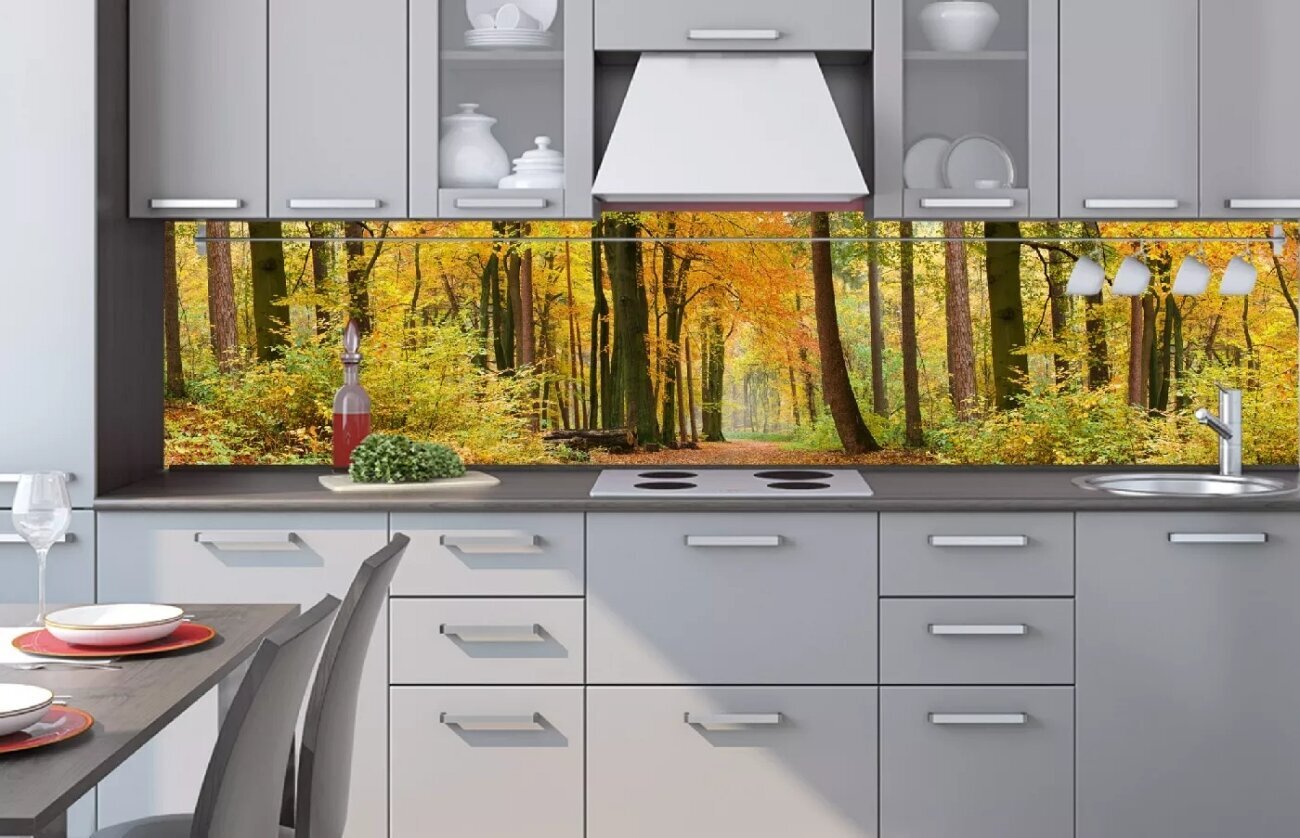 Liimavalokuvatapetti laminoidulla - Autumn forest, 260x60 cm hinta ja tiedot | Valokuvatapetit | hobbyhall.fi