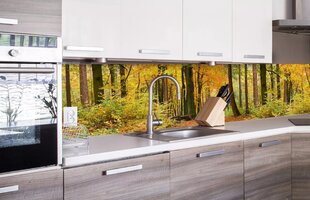 Liimavalokuvatapetti laminoidulla - Autumn forest, 260x60 cm hinta ja tiedot | Valokuvatapetit | hobbyhall.fi