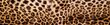 Liimavalokuvatapetti laminoidulla - Leopard skin, 260x60 cm hinta ja tiedot | Valokuvatapetit | hobbyhall.fi