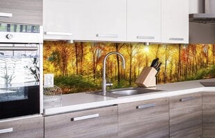 Itseliimautuva valokuvatapetti laminoidulla - Sunny forests, 260x60 cm hinta ja tiedot | Valokuvatapetit | hobbyhall.fi