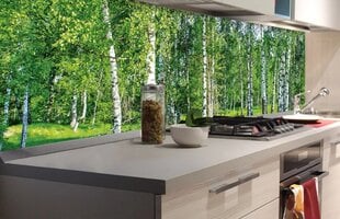 Laminoidut valokuvatapetit keittiöön, Koivut, 180x60 cm hinta ja tiedot | Valokuvatapetit | hobbyhall.fi