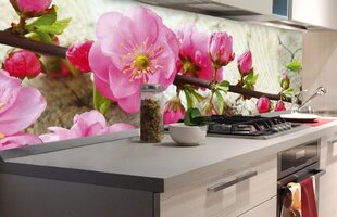 Laminoidut valokuvatapetit keittiöön, Sakura, 180x60 cm hinta ja tiedot | Valokuvatapetit | hobbyhall.fi