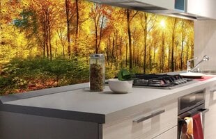 Laminoidut valokuvatapetit keittiöön, Aurinkoinen metsä, 180x60 cm hinta ja tiedot | Valokuvatapetit | hobbyhall.fi