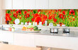 Liimavalokuvatapetti laminoidulla - Red poppy, 350x60 cm hinta ja tiedot | Valokuvatapetit | hobbyhall.fi