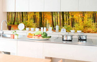 Liimavalokuvatapetti laminoidulla - Autumn forest, 350x60 cm hinta ja tiedot | Valokuvatapetit | hobbyhall.fi