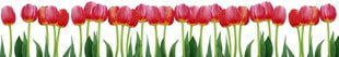 Liimavalokuvatapetti laminoidulla - Red tulips, 350x60 cm hinta ja tiedot | Valokuvatapetit | hobbyhall.fi