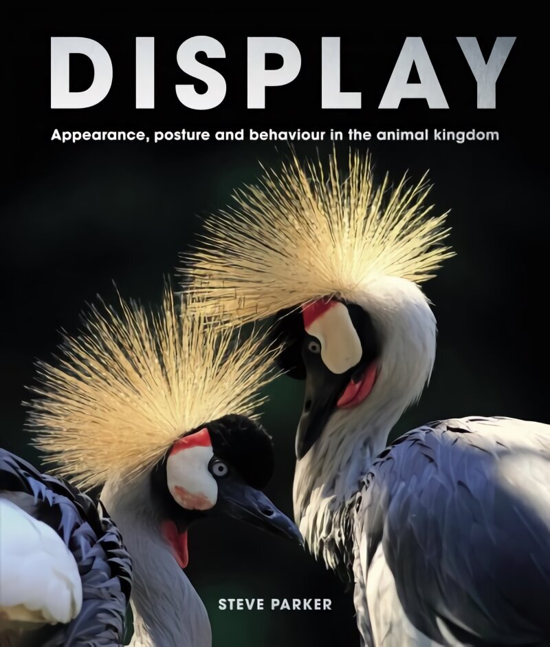 Display: Appearance, posture and behaviour in the animal kingdom hinta ja tiedot | Terveys- ja ravitsemuskirjat | hobbyhall.fi