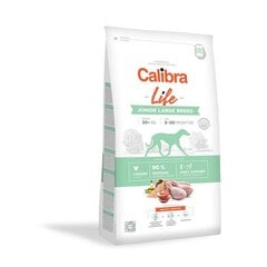 Calibra Dog Life isokokoisille nuorille pennuille kanan kanssa, 2,5 kg hinta ja tiedot | Calibra Koirat | hobbyhall.fi