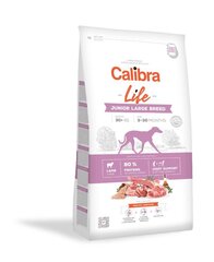 Calibra Dog Life Junior nuorille isokokoisille koirille karitsalla, 2,5 kg hinta ja tiedot | Koiran kuivaruoka | hobbyhall.fi