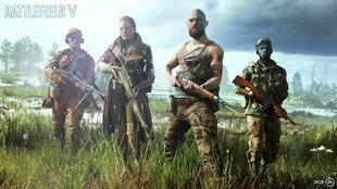PS4 peli Battlefield V, 5030942122275 hinta ja tiedot | Electronic Arts Tietokoneet ja pelaaminen | hobbyhall.fi