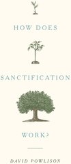 How Does Sanctification Work? hinta ja tiedot | Hengelliset kirjat ja teologia | hobbyhall.fi