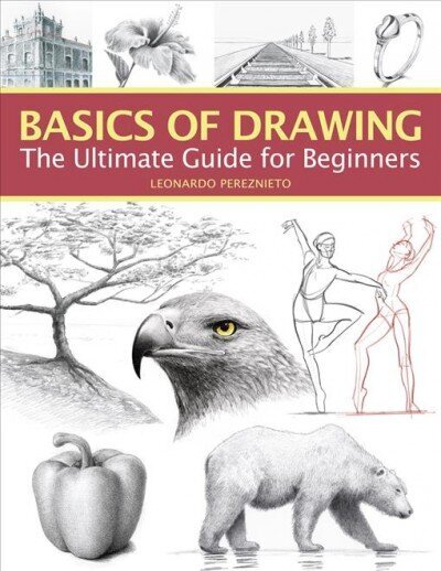 Basics of Drawing: The Ultimate Guide for Beginners hinta ja tiedot | Terveys- ja ravitsemuskirjat | hobbyhall.fi