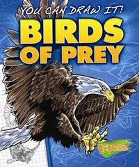 Birds of Prey hinta ja tiedot | Nuortenkirjat | hobbyhall.fi