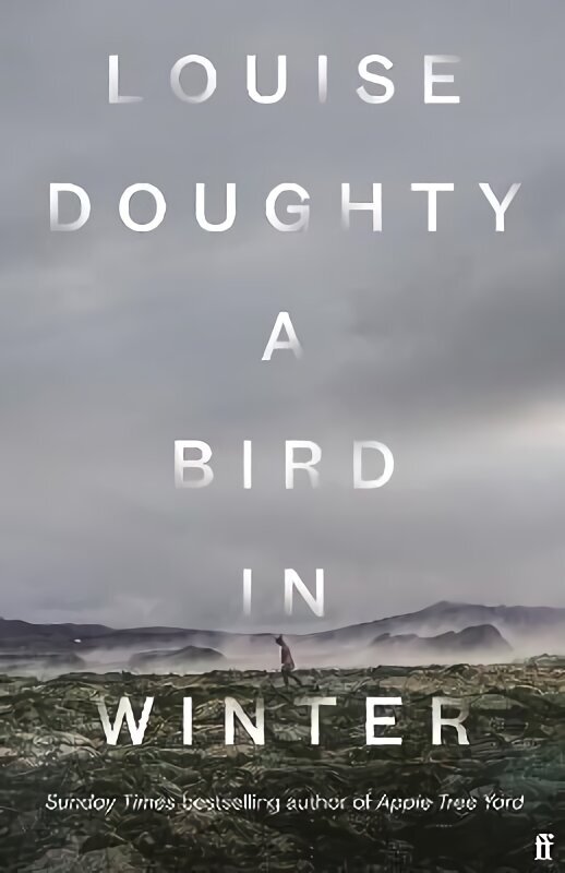 Bird in Winter: 'Nail-bitingly tense and compelling' Paula Hawkins Export - Airside ed hinta ja tiedot | Fantasia- ja scifi-kirjallisuus | hobbyhall.fi