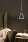 Riippuvalaisin Paulmann Neordic Hilla 1-lamppu valaisin silvottu rauta, jossa ei ole lamppua 40 W E27, valaisin kasveja ja rasvaa varten hinta ja tiedot | Riippuvalaisimet | hobbyhall.fi