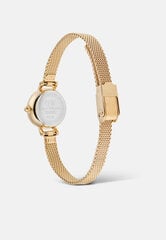 Naisten rannekello Daniel Wellington Petite Mini hinta ja tiedot | Naisten kellot | hobbyhall.fi