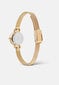 Naisten rannekello Daniel Wellington Petite Mini hinta ja tiedot | Naisten kellot | hobbyhall.fi