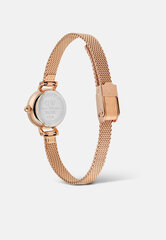 Naisten rannekello Daniel Wellington Petite Mini hinta ja tiedot | Naisten kellot | hobbyhall.fi