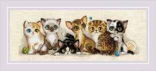 Ristipistopakkaus "Kittens" 40x15 RIOL2180 hinta ja tiedot | Kirjontatarvikkeet | hobbyhall.fi