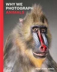 Why We Photograph Animals hinta ja tiedot | Taidekirjat | hobbyhall.fi