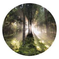 "Qult Senses of Nature - EARTH" - Aromatiska kynttilä lasipurkissa puukannella – “Pohjoisen Metsät" hinta ja tiedot | Qult Design Huonekalut ja sisustus | hobbyhall.fi