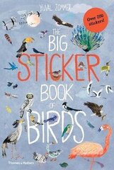 Big Sticker Book of Birds hinta ja tiedot | Lastenkirjat | hobbyhall.fi