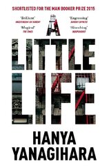 Little Life: The Million-Copy Bestseller hinta ja tiedot | Fantasia- ja scifi-kirjallisuus | hobbyhall.fi