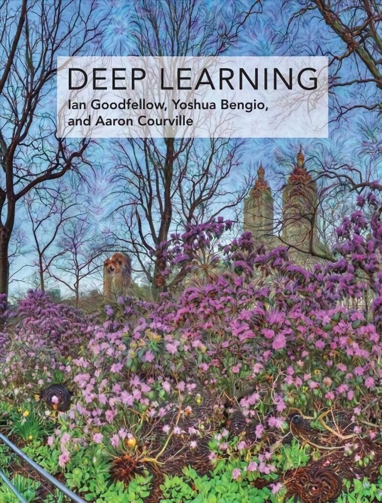 Deep Learning hinta ja tiedot | Talouskirjat | hobbyhall.fi