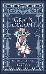 Gray's Anatomy (Barnes & Noble Collectible Editions) Revised, Bonded Leather hinta ja tiedot | Romaanit | hobbyhall.fi