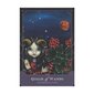 Beautiful Creatures Tarot, 2nd Edition 2nd Edition, revised and expanded hinta ja tiedot | Esoteria | hobbyhall.fi