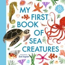 My First Book of Sea Creatures hinta ja tiedot | Tietosanakirjat ja hakuteokset | hobbyhall.fi