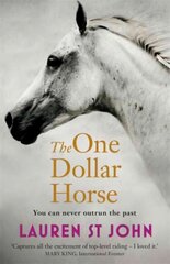 One Dollar Horse: Book 1 hinta ja tiedot | Nuortenkirjat | hobbyhall.fi