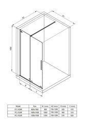 Deante Prizma Walk-in suihkuseinä, Bianco, 100x195 cm hinta ja tiedot | Suihkuseinät ja -ovet | hobbyhall.fi