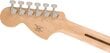 Sähkökitarasarja Fender Affinity Strat + Mustang Micro + HD9 hinta ja tiedot | Kitarat | hobbyhall.fi