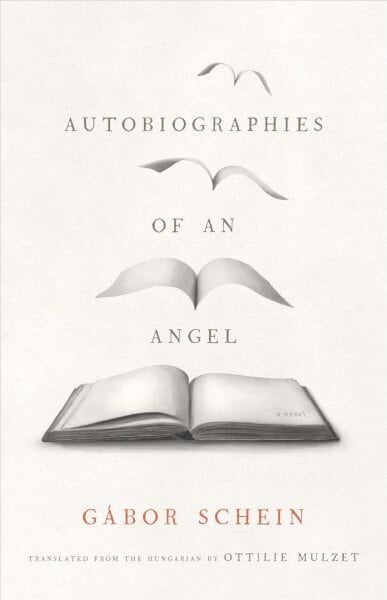 Autobiographies of an Angel: A Novel hinta ja tiedot | Romaanit | hobbyhall.fi