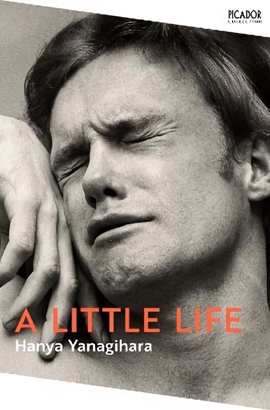 Little Life: The Million-Copy Bestseller hinta ja tiedot | Fantasia- ja scifi-kirjallisuus | hobbyhall.fi