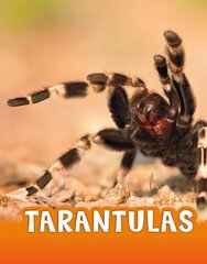 Tarantulas hinta ja tiedot | Nuortenkirjat | hobbyhall.fi