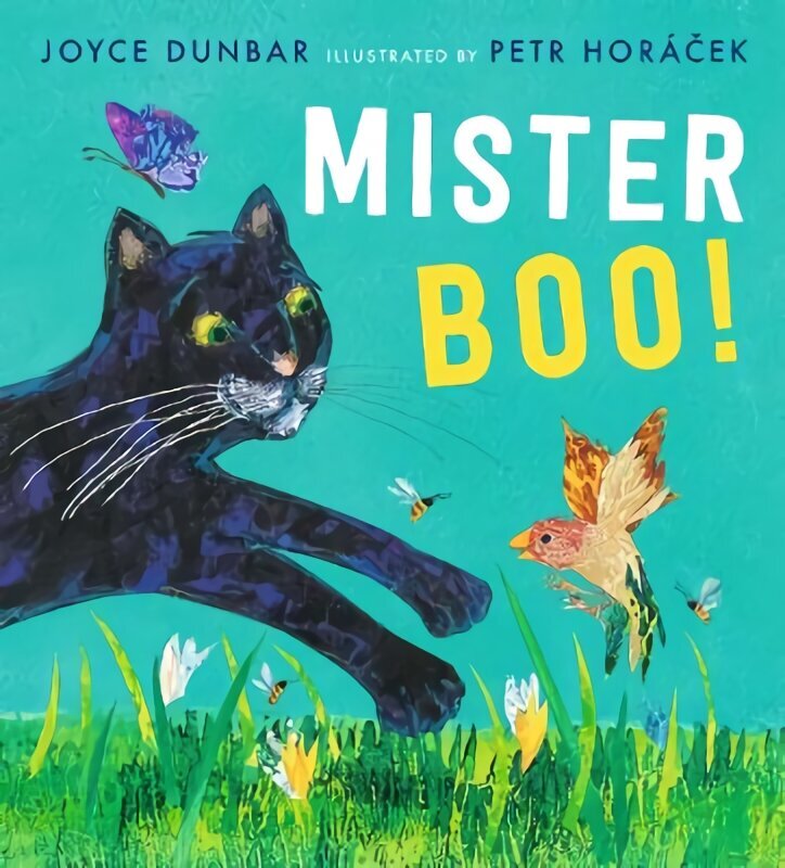 Mister Boo! hinta ja tiedot | Vauvakirjat | hobbyhall.fi