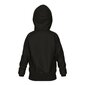 Lasten unisex-huppari Arena Team Hooded Sweat Panel Black, musta hinta ja tiedot | Poikien puserot, liivit ja jakut | hobbyhall.fi