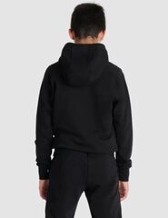 Lasten unisex-huppari Arena Team Hooded Sweat Panel Black, musta hinta ja tiedot | Poikien puserot, liivit ja jakut | hobbyhall.fi