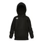 Lasten unisex-huppari Arena Team Hooded Sweat Panel Black, musta hinta ja tiedot | Poikien puserot, liivit ja jakut | hobbyhall.fi