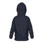 Lasten unisex-huppari Arena Team Hooded Sweat Panel Black, sininen hinta ja tiedot | Poikien puserot, liivit ja jakut | hobbyhall.fi