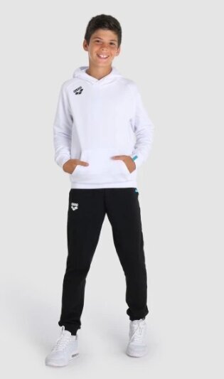 Lasten unisex-huppari Arena Team Hooded Sweat Panel, valkoinen hinta ja tiedot | Poikien puserot, liivit ja jakut | hobbyhall.fi