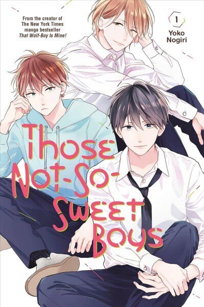 Those Not-So-Sweet Boys 1 hinta ja tiedot | Sarjakuvat | hobbyhall.fi