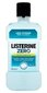 Listerine Mouthwash Zero suuvesi 250 ml hinta ja tiedot | Suuhygienia | hobbyhall.fi