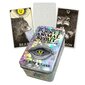 Wild Unknown Pocket Animal Spirit Deck hinta ja tiedot | Esoteria | hobbyhall.fi