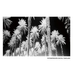 Kolmiosainen maalaus Canvas Palm Tree hinta ja tiedot | Taulut | hobbyhall.fi