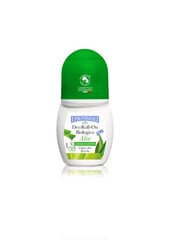 I Provenzali Aloe Organic roll-on deodorantti 50ml hinta ja tiedot | Deodorantit | hobbyhall.fi